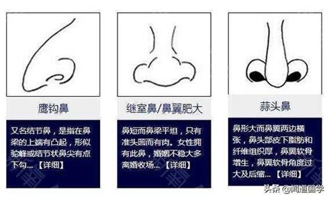 面像 鼻子|面相學之鼻型解析、全面解讀鼻子與命運